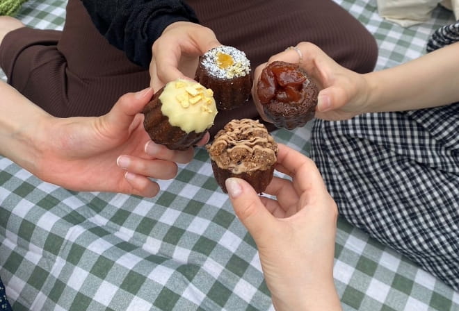 ピクニックの写真