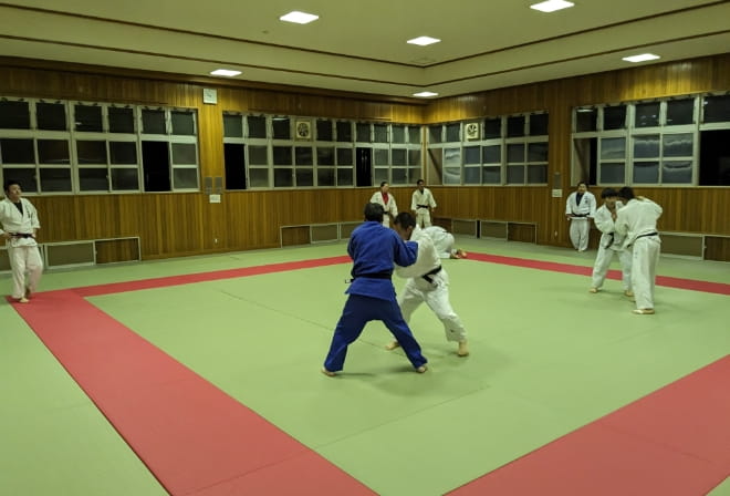 ピクニックの写真