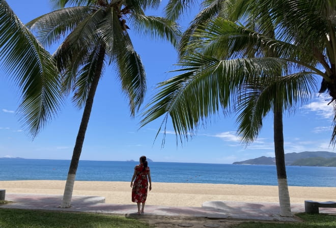 ピクニックの写真